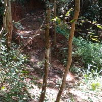 Venda de Terreno em Rural Antares em São Thomé das Letras-MG