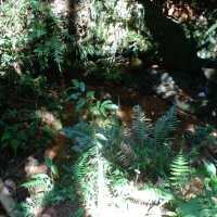 Venda de Terreno em Rural Antares em São Thomé das Letras-MG
