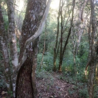 Venda de Terreno em Rural Antares em São Thomé das Letras-MG