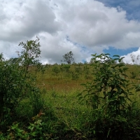 Venda de Terreno em Rural Areado em São Thomé das Letras-MG