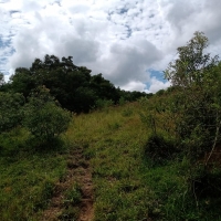 Venda de Terreno em Rural Areado em São Thomé das Letras-MG