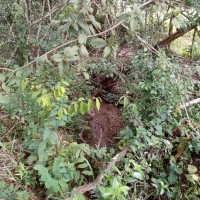 Venda de Terreno em Rural Areado em São Thomé das Letras-MG