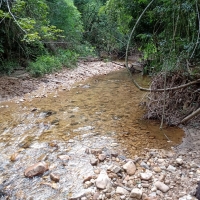 Venda de Terreno em Rural Areado em São Thomé das Letras-MG