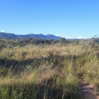 Terreno A Venda Em São Thomé Das Letras no Rural Caí