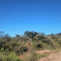 Terreno A Venda Em São Thomé Das Letras no Rural Caí