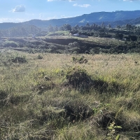 Venda de Terreno em Rural Caí em São Thomé das Letras-MG
