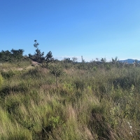 Venda de Terreno em Rural Caí em São Thomé das Letras-MG