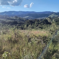 Venda de Terreno em Rural Caí em São Thomé das Letras-MG