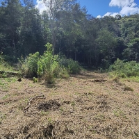 Terreno A Venda Em São Thomé Das Letras no Rural Canta Galo