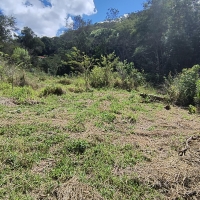Terreno A Venda Em São Thomé Das Letras no Rural Canta Galo