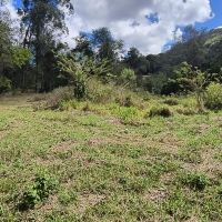Terreno A Venda Em São Thomé Das Letras no Rural Canta Galo