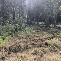 Terreno A Venda Em São Thomé Das Letras no Rural Canta Galo