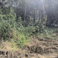 Terreno A Venda Em São Thomé Das Letras no Rural Canta Galo