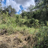 Terreno A Venda Em São Thomé Das Letras no Rural Canta Galo