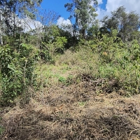 Terreno A Venda Em São Thomé Das Letras no Rural Canta Galo
