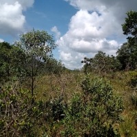 Venda de Terreno em Rural Canta Galo em São Thomé das Letras-MG