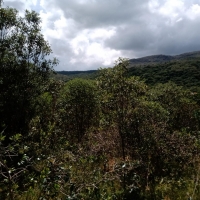 Venda de Terreno em Rural Canta Galo em São Thomé das Letras-MG
