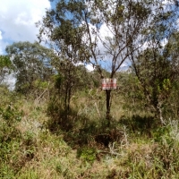 Venda de Terreno em Rural Canta Galo em São Thomé das Letras-MG