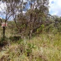Venda de Terreno em Rural Canta Galo em São Thomé das Letras-MG