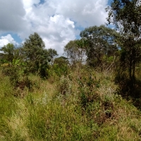 Venda de Terreno em Rural Canta Galo em São Thomé das Letras-MG