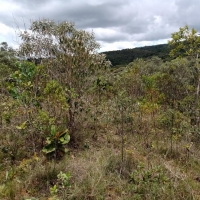 Venda de Terreno em Rural Canta Galo em São Thomé das Letras-MG
