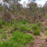 Venda de Terreno em Rural Canta Galo em São Thomé das Letras-MG