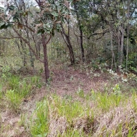 Venda de Terreno em Rural Canta Galo em São Thomé das Letras-MG