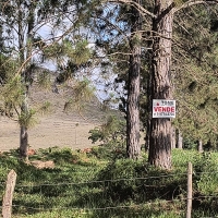 Terreno A Venda Em São Thomé Das Letras no Rural Lagoa