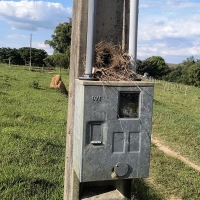 Terreno A Venda Em São Thomé Das Letras no Rural Lagoa