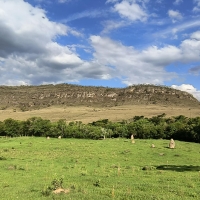 Terreno A Venda Em São Thomé Das Letras no Rural Lagoa