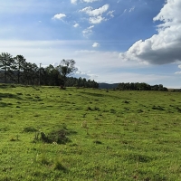 Terreno A Venda Em São Thomé Das Letras no Rural Lagoa