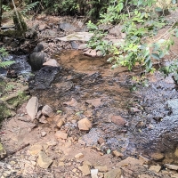 Terreno A Venda Em São Thomé Das Letras no Rural Lagoa