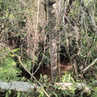 Terreno A Venda Em São Thomé Das Letras no Rural Lagoa