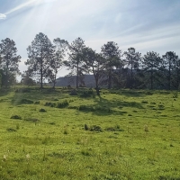 Terreno A Venda Em São Thomé Das Letras no Rural Lagoa