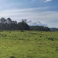Terreno A Venda Em São Thomé Das Letras no Rural Lagoa