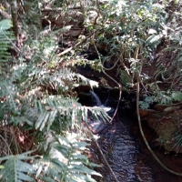 Venda de Terreno em Rural Lagoa em São Thomé das Letras-MG