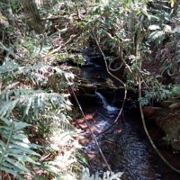 Venda de Terreno em Rural Lagoa em São Thomé das Letras-MG