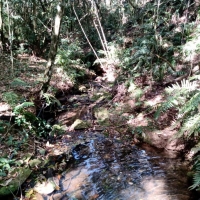 Venda de Terreno em Rural Lagoa em São Thomé das Letras-MG