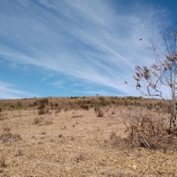 Venda de Terreno em Rural Lagoa em São Thomé das Letras-MG