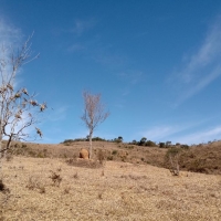 Venda de Terreno em Rural Lagoa em São Thomé das Letras-MG