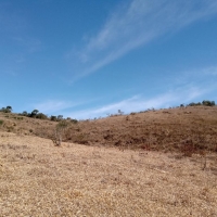 Venda de Terreno em Rural Lagoa em São Thomé das Letras-MG