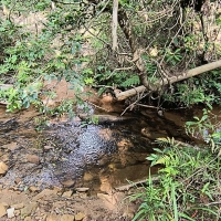Venda de Terreno em Rural Lagoa em São Thomé das Letras-MG