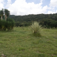 Venda de Terreno em Rural  Sobradinho de Minas em São Thomé das Letras-MG
