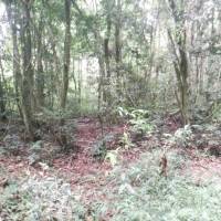 Venda de Terreno em Rural  Sobradinho de Minas em São Thomé das Letras-MG