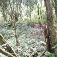 Venda de Terreno em Rural  Sobradinho de Minas em São Thomé das Letras-MG