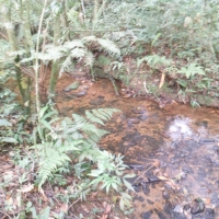 Venda de Terreno em Rural  Sobradinho de Minas em São Thomé das Letras-MG