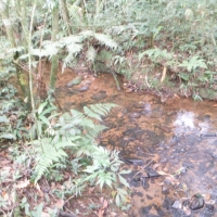 Venda de Terreno em Rural  Sobradinho de Minas em São Thomé das Letras-MG