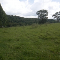 Venda de Terreno em Rural  Sobradinho de Minas em São Thomé das Letras-MG
