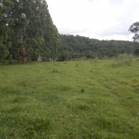 Venda de Terreno em Rural  Sobradinho de Minas em São Thomé das Letras-MG