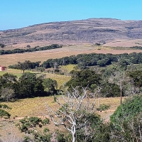 Venda de Terreno em Rural  Sobradinho de Minas em São Thomé das Letras-MG